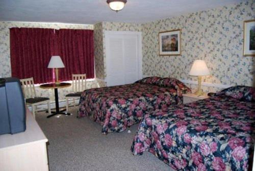 Oxen Yoke Motel North Conway Rum bild
