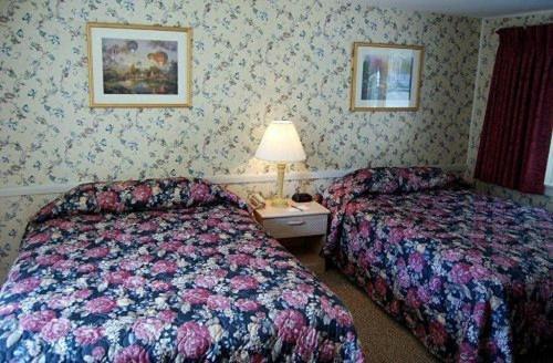 Oxen Yoke Motel North Conway Rum bild